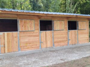 3 boxes en ligne LCI Cheval, bois Douglas